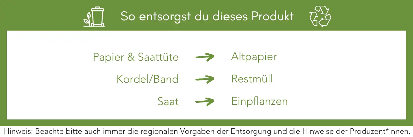 Produktentsorgung Recycling Müll Abfall