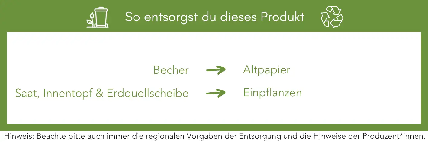Produktentsorgung Recycling Müll Abfall