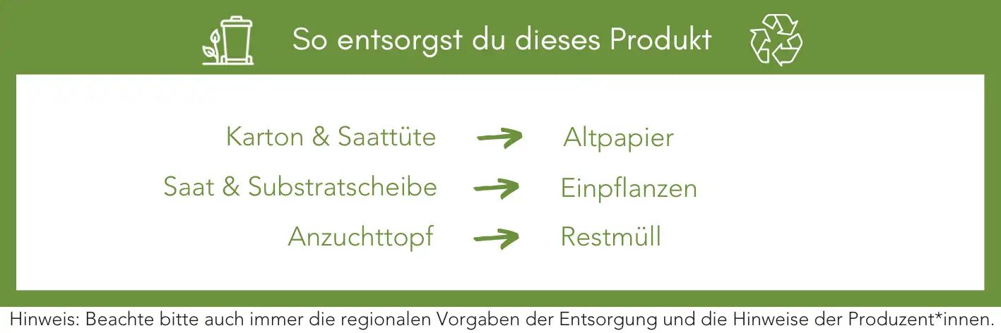 Produktentsorgung Recycling Müll Abfall