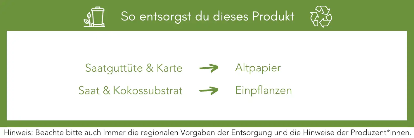 Produktentsorgung Recycling Müll Abfall