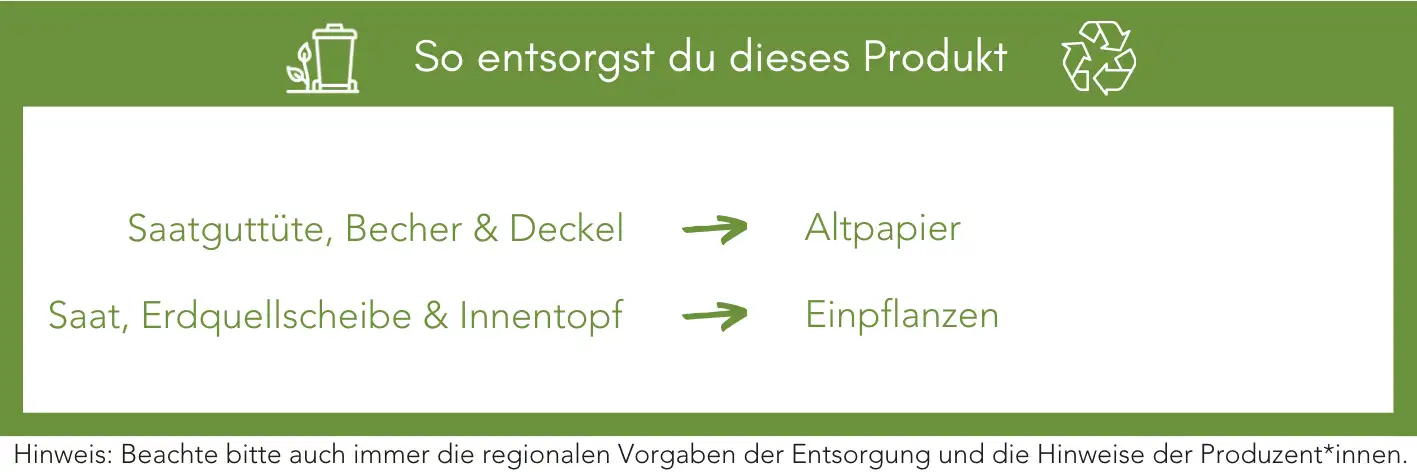 Produktentsorgung Recycling Müll Abfall