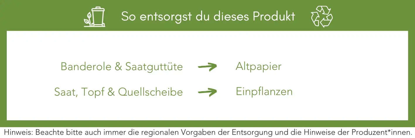 Produktentsorgung Recycling Müll Abfall