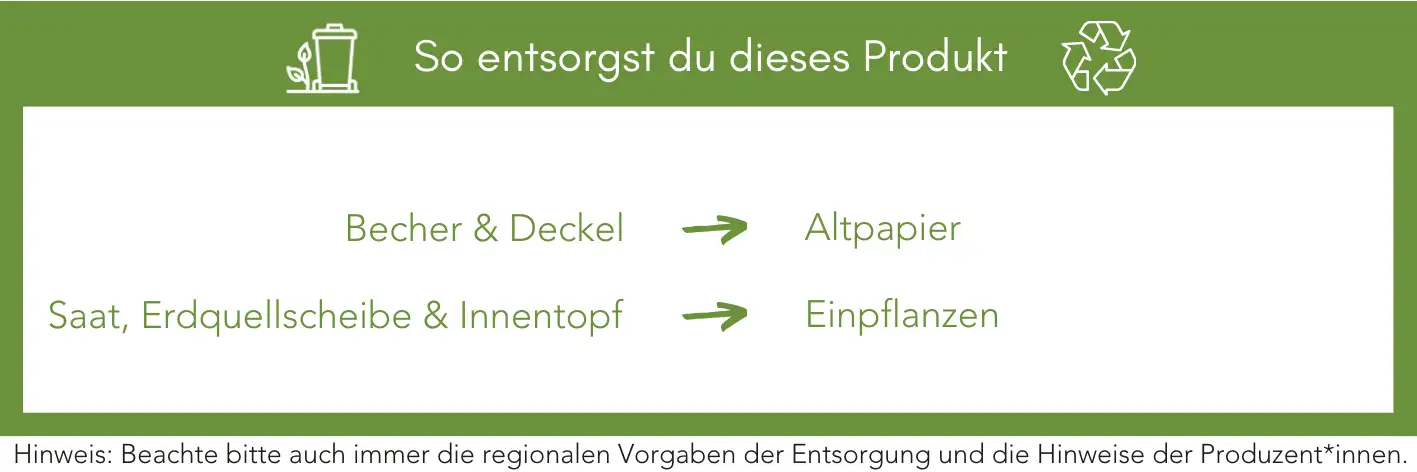 Produktentsorgung Recycling Müll Abfall