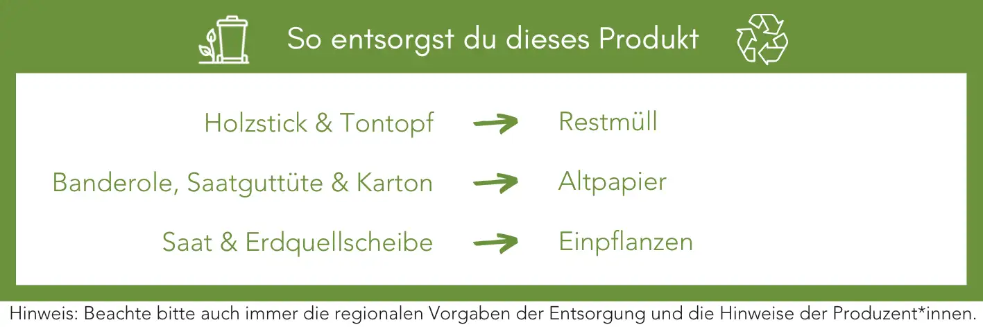 Produktentsorgung Recycling Müll Abfall