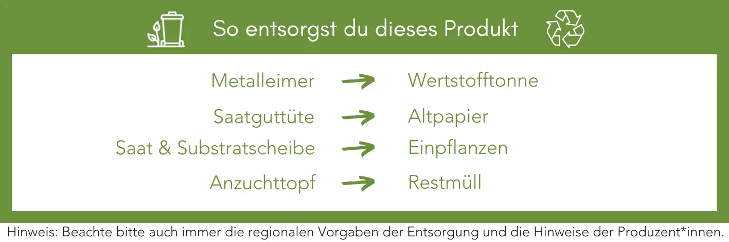 Produktentsorgung Recycling Müll Abfall