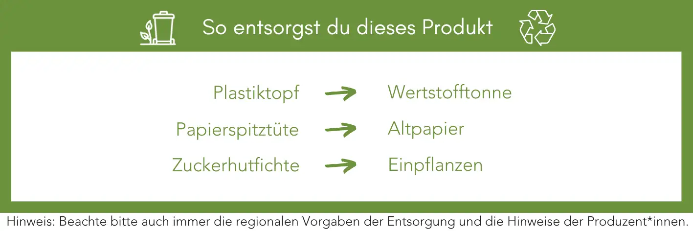 Produktentsorgung Recycling Müll Abfall
