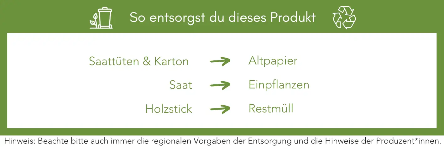 Produktentsorgung Recycling Müll Abfall