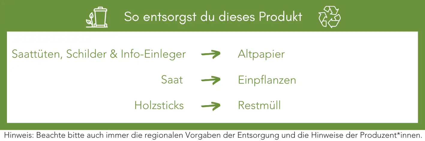 Produktentsorgung Recycling Müll Abfall