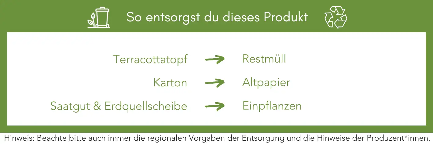 Produktentsorgung Recycling Müll Abfall