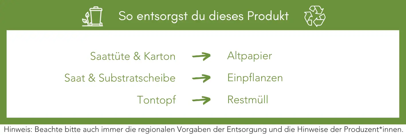 Produktentsorgung Recycling Müll Abfall