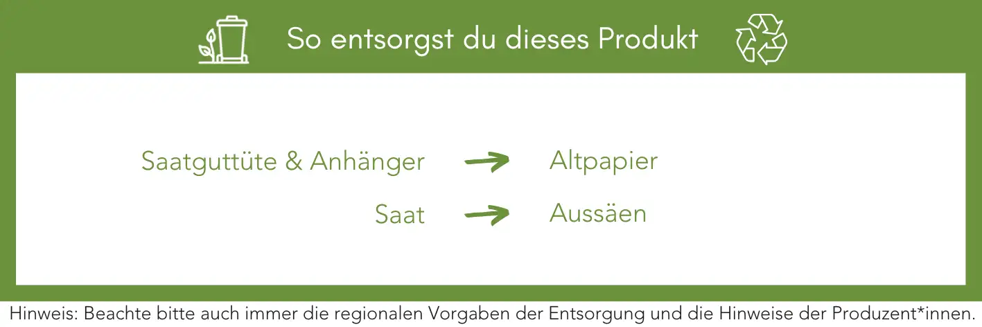 Produktentsorgung Recycling Müll Abfall