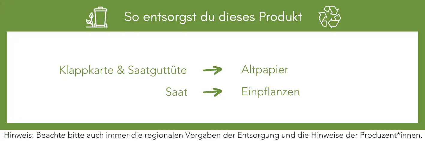 Produktentsorgung Recycling Müll Abfall