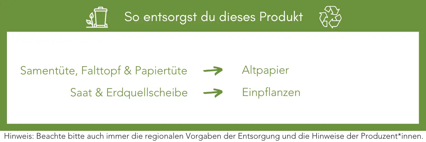 Produktentsorgung Recycling Müll Abfall