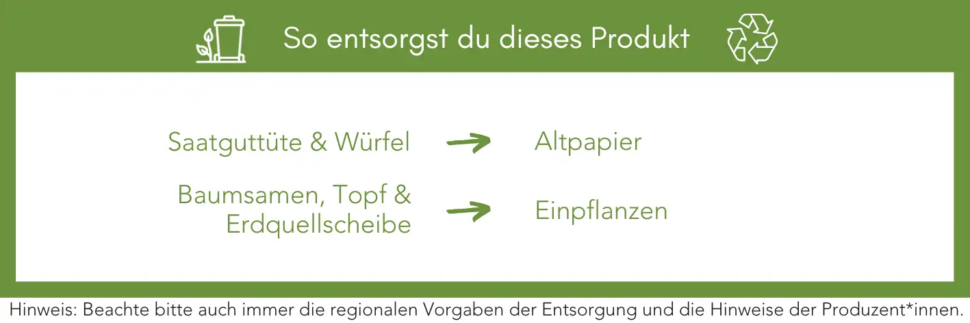 Produktentsorgung Recycling Müll Abfall