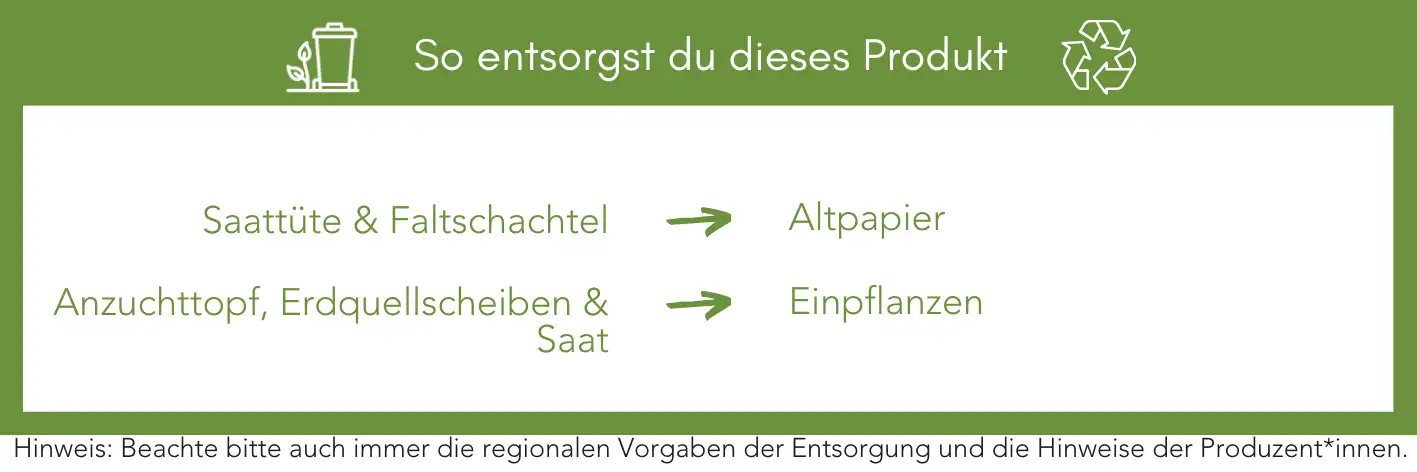 Produktentsorgung Recycling Müll Abfall