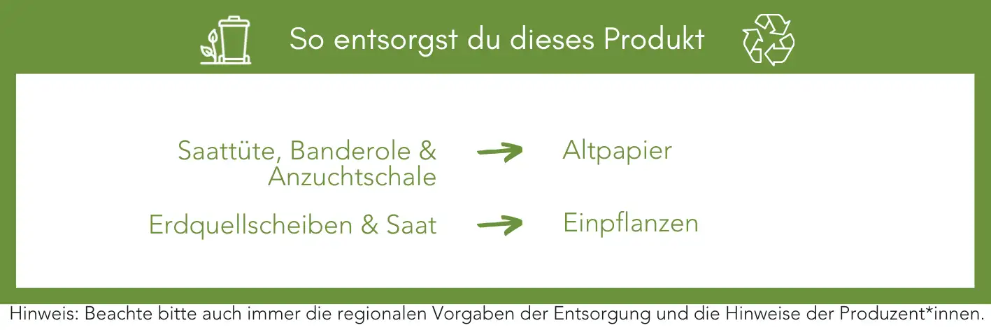Produktentsorgung Recycling Müll Abfall