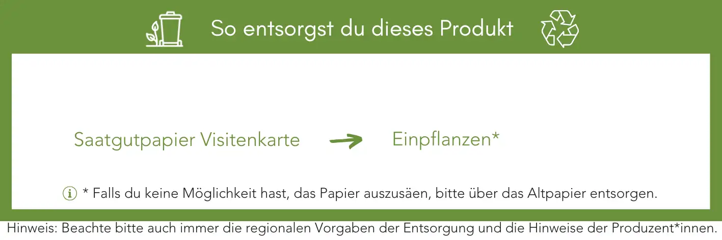 Produktentsorgung Recycling Müll Abfall