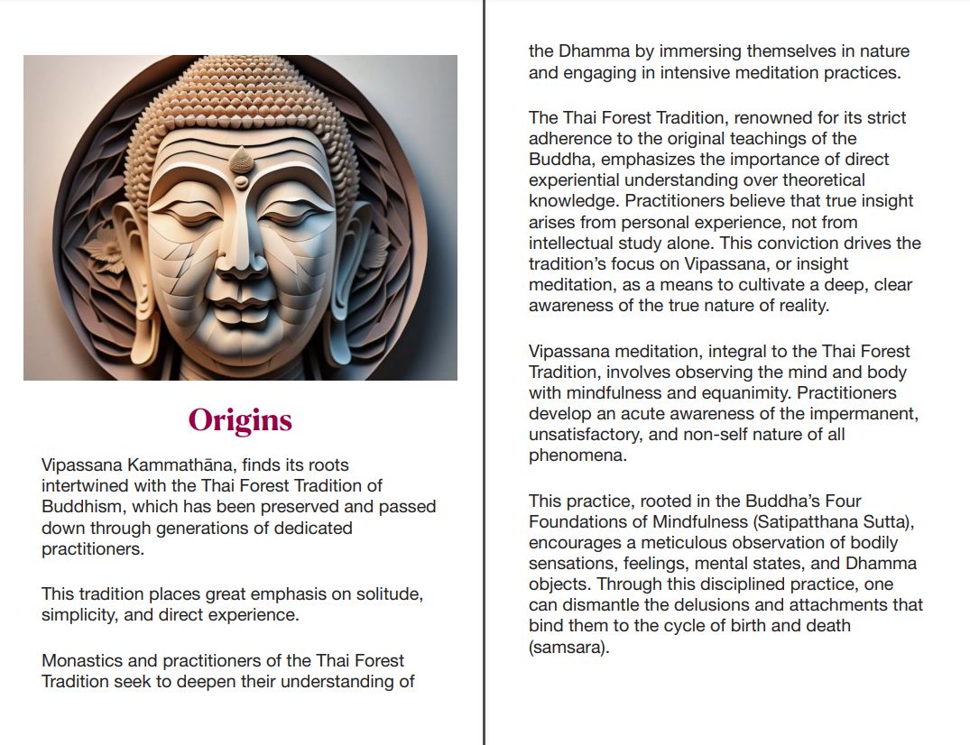 Screenshot of 40 Applied Vipassana Practices ebook by Ajarn Spencer Littlewood