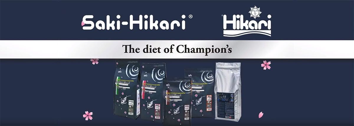 Saki Hikari Koi food