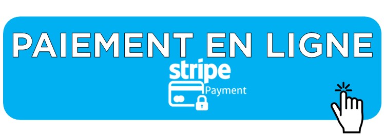 paiement en ligne 