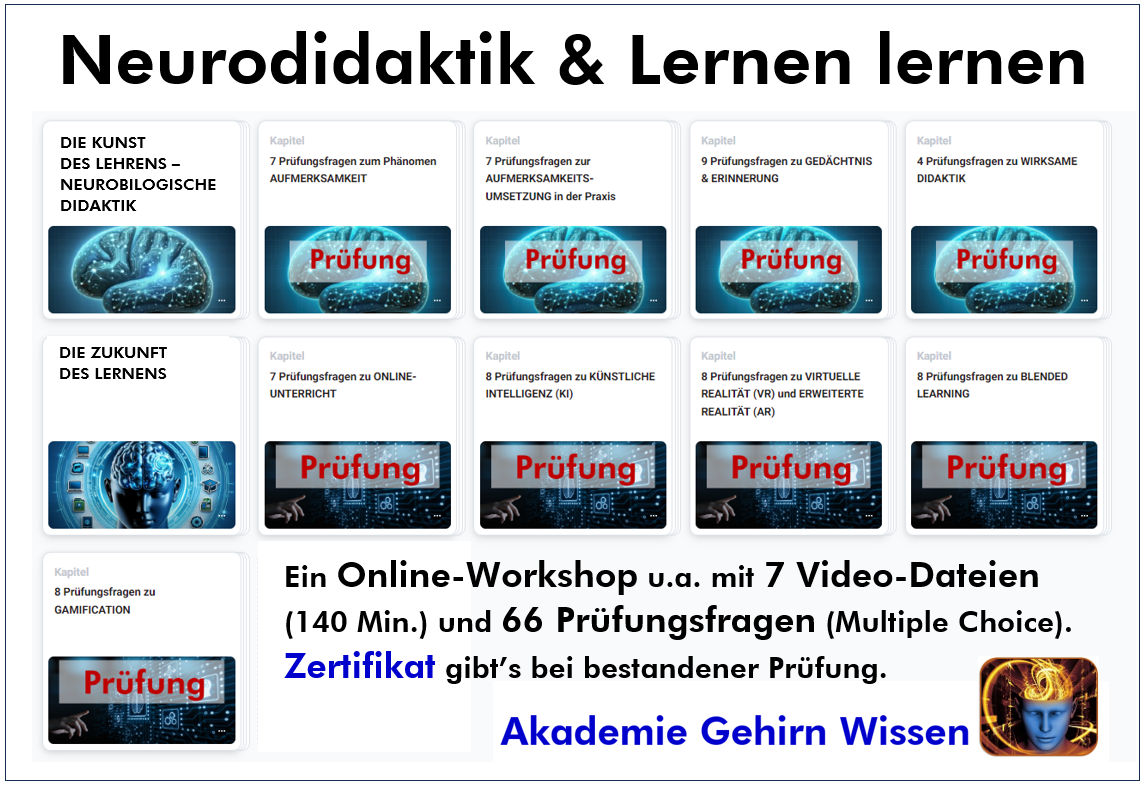 Neurodidaktik & Lernen