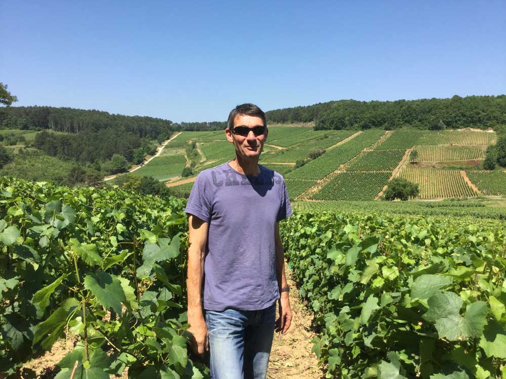 Domaine Denis corton charlemagne