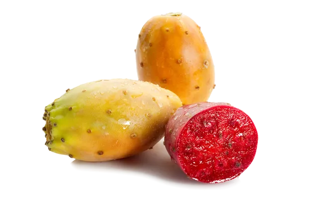 Prickly Pear