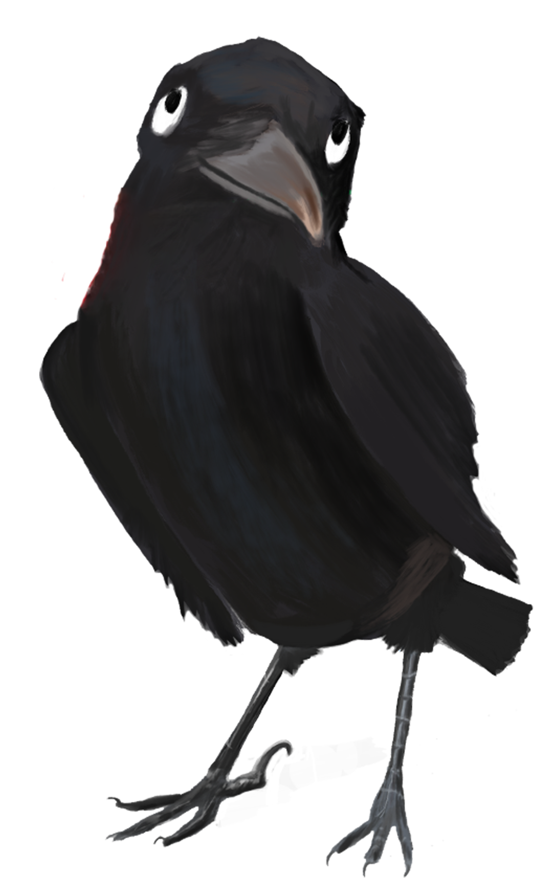 Rabe Jakob pur png