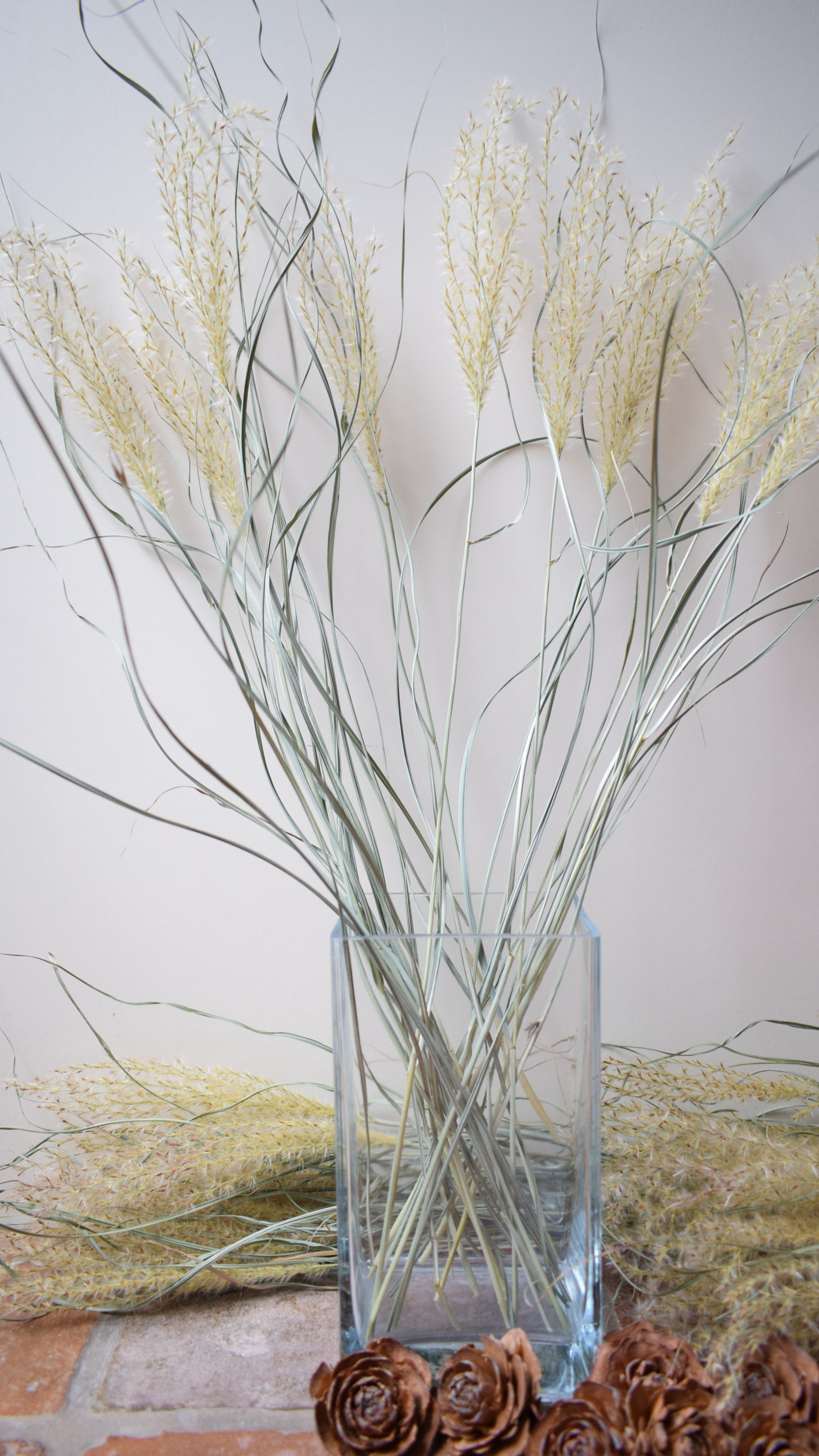 miscanthus vase cedar roses