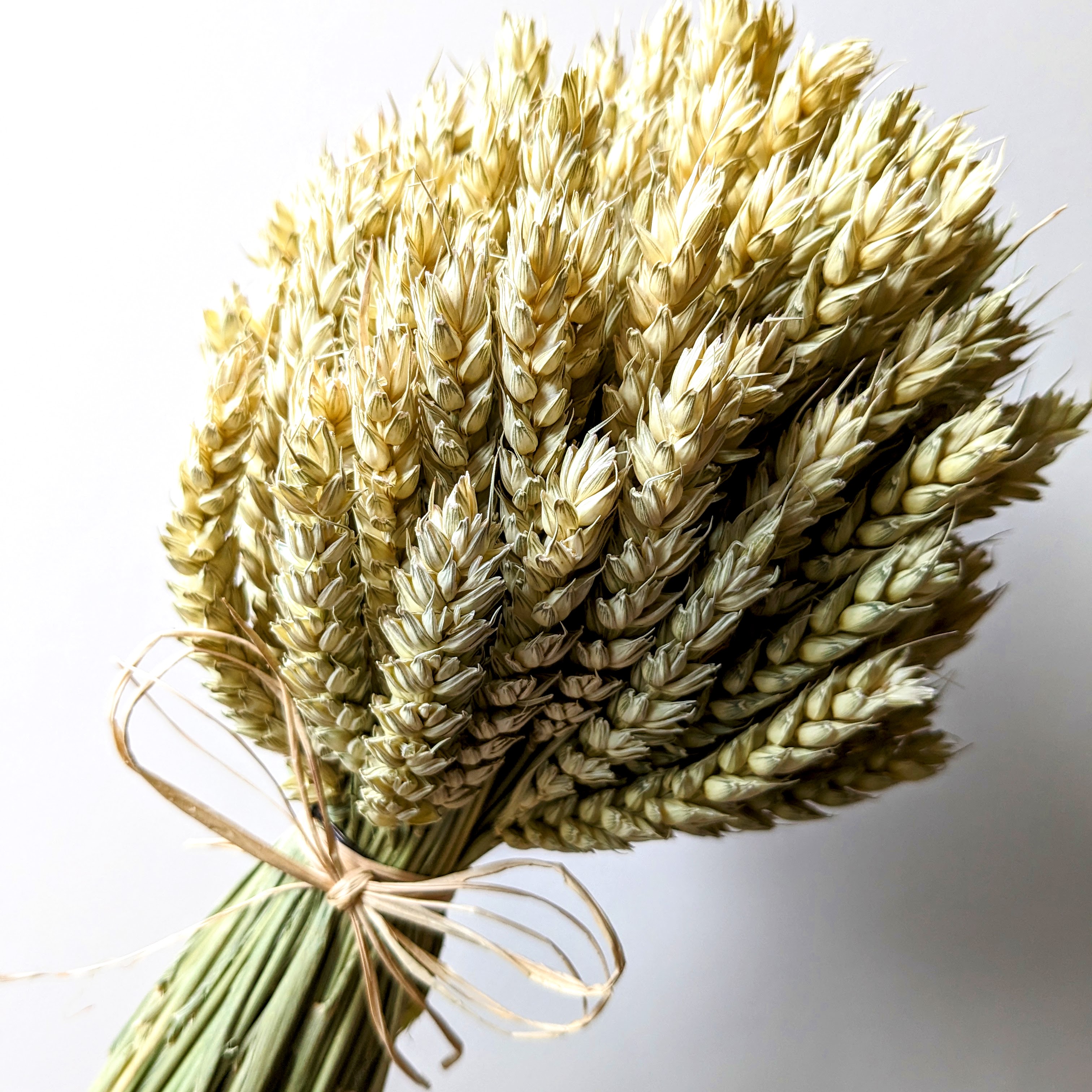 natural wheat bouquet