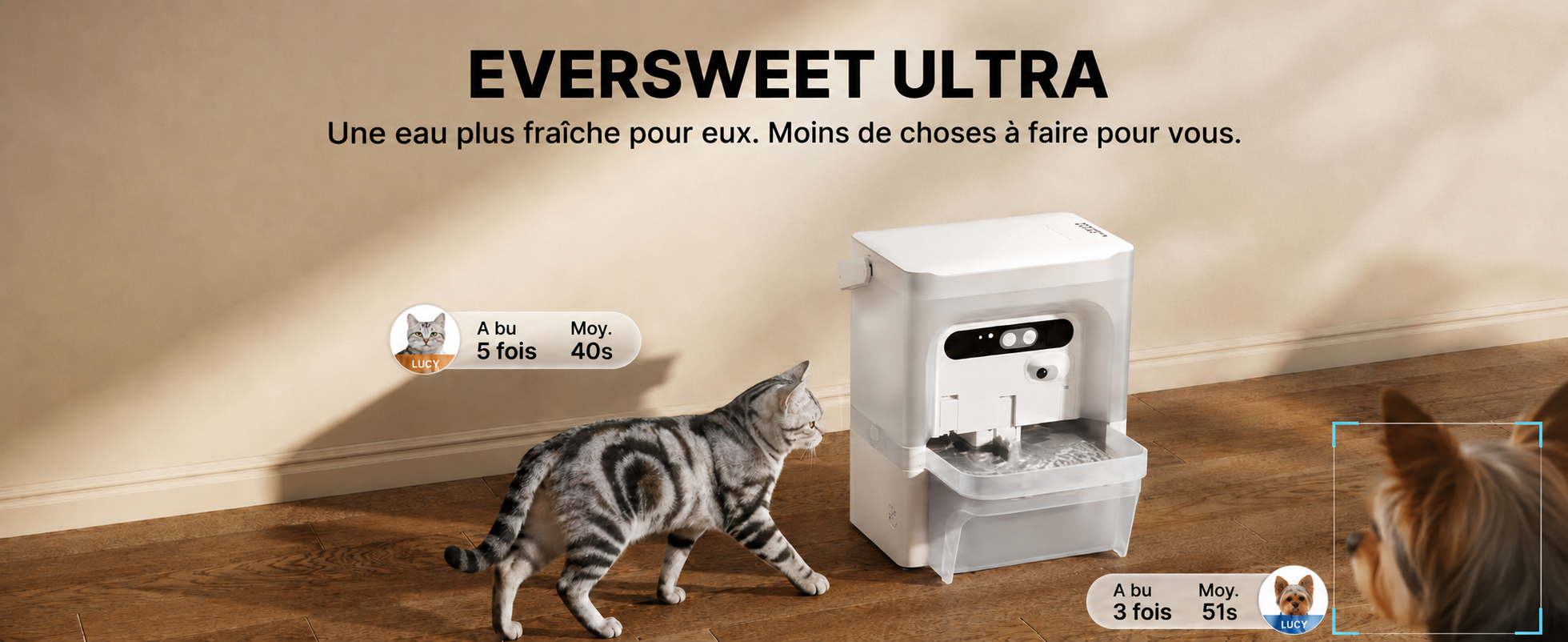 EVERSWEET ULTRA