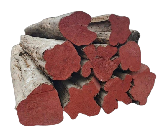 Teak Wood