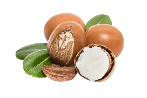 Shea Butter
