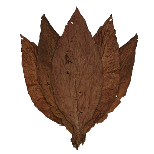 Tobacco