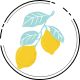 Citrus flavor icon