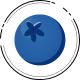 Blueberry flavor icon
