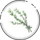 Herbal flavor icon