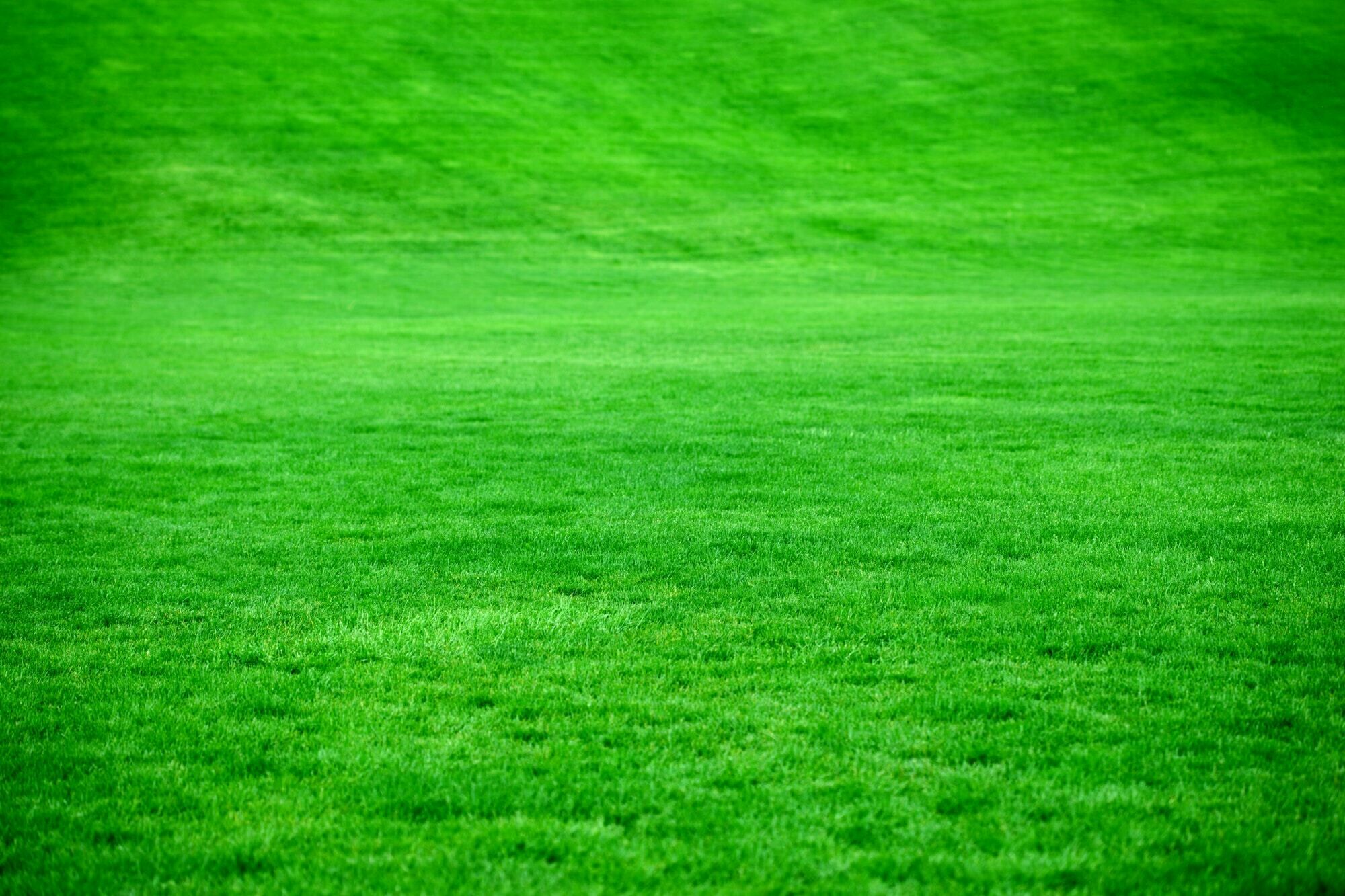 Akers of Lawn