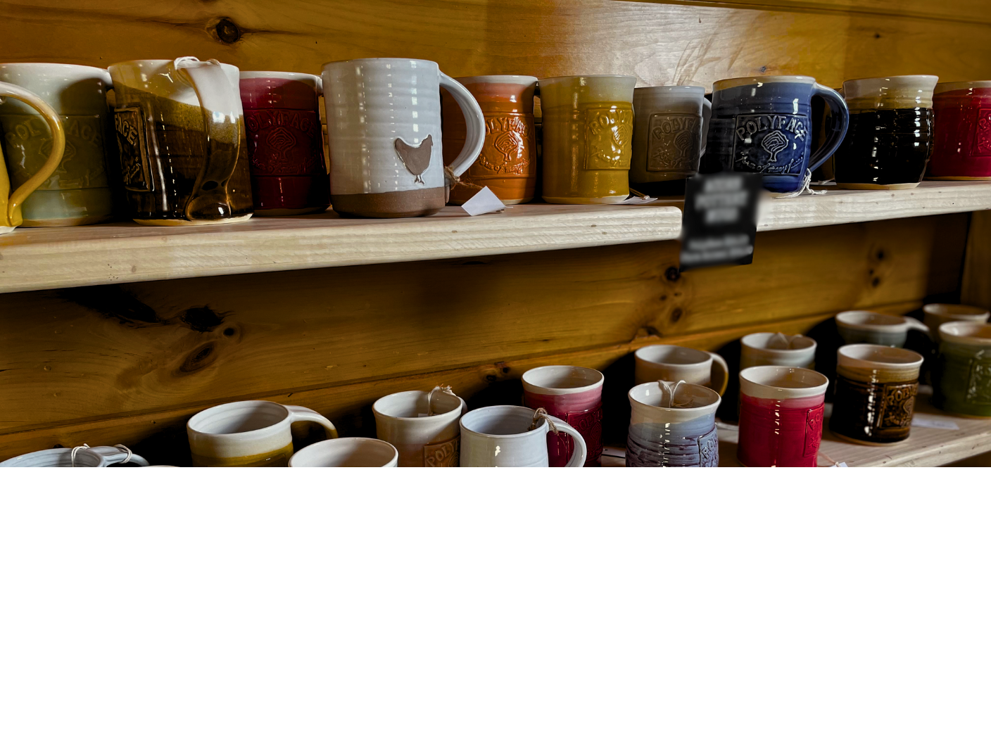 Polyface Shop