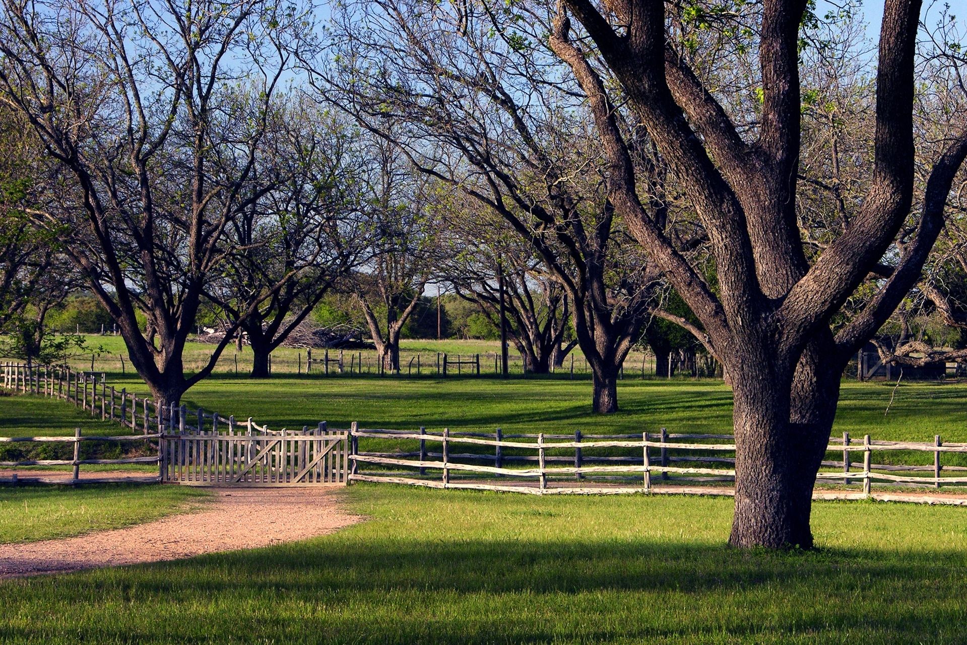 Avenue Gourmet Pecans