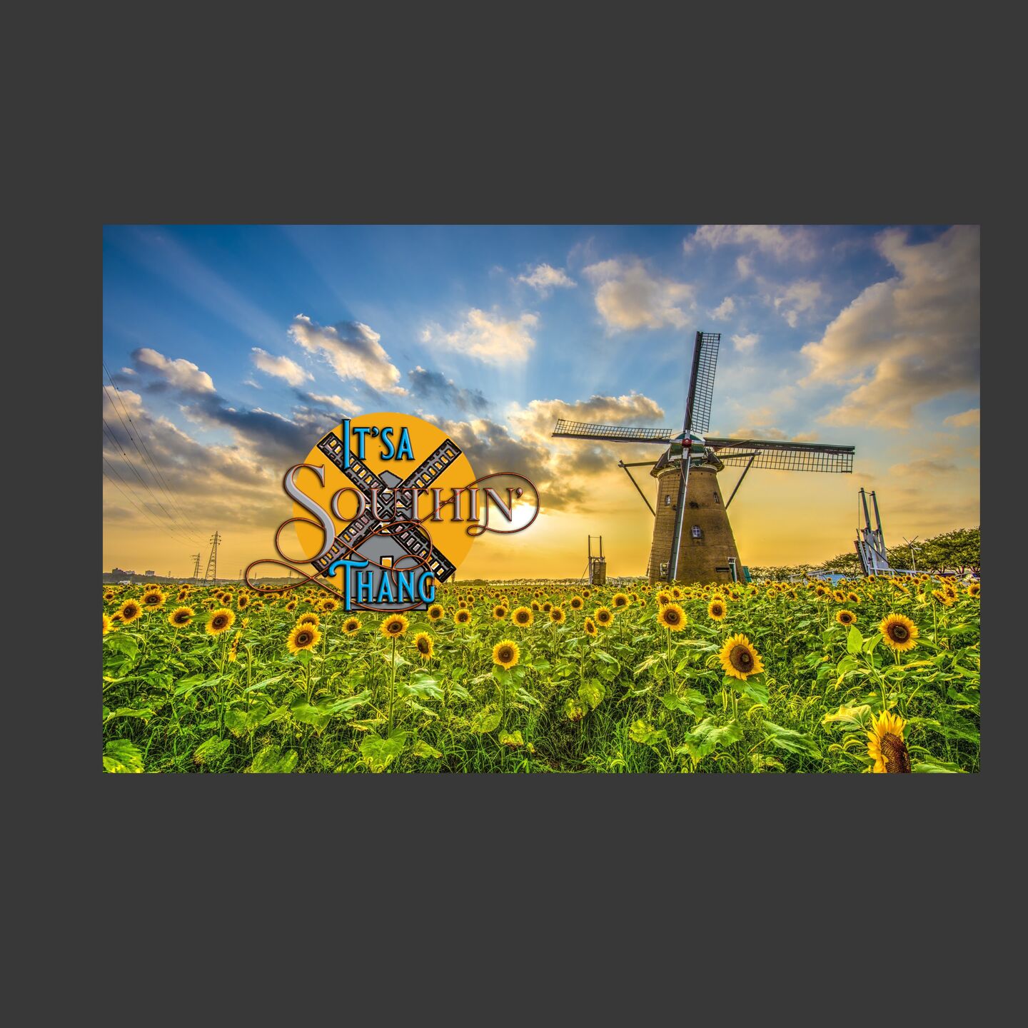 It's Not Just Anything