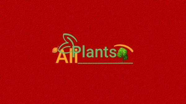 🌱AliPlants🌰