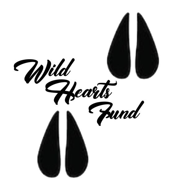 Wild Hearts Fund