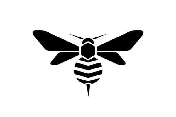 fortnite account