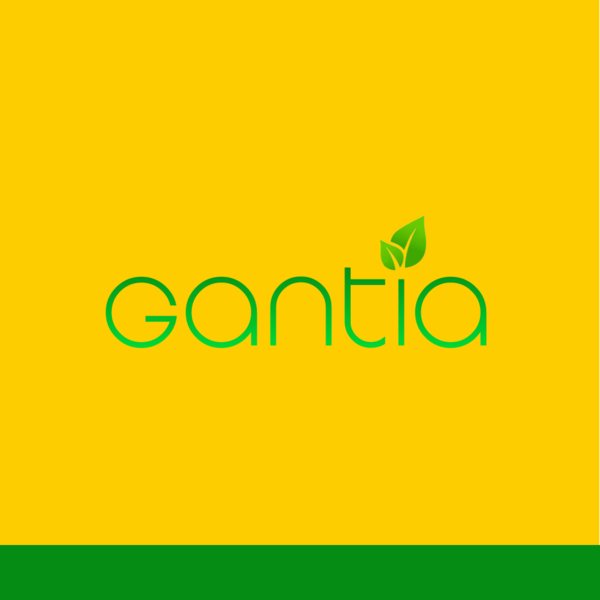 Online Store