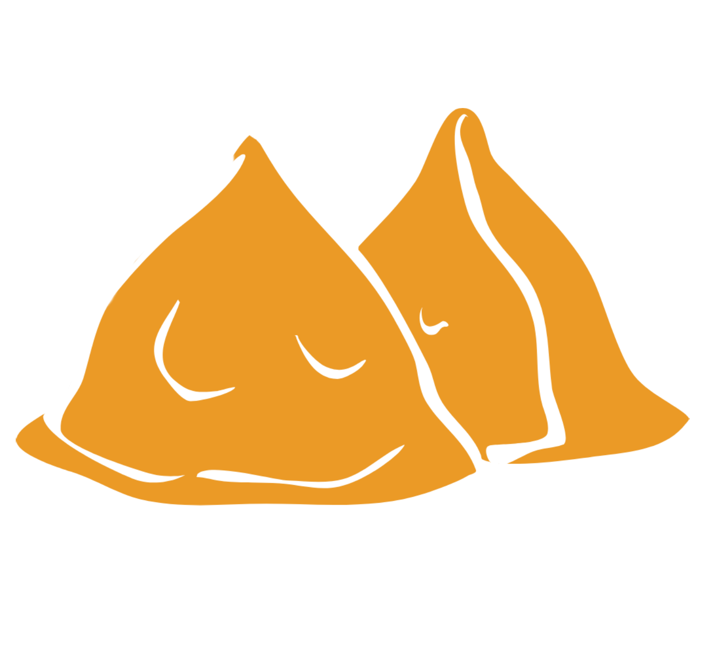 Tee Samosa