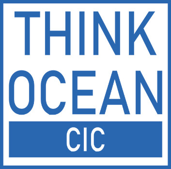 Think Ocean Store