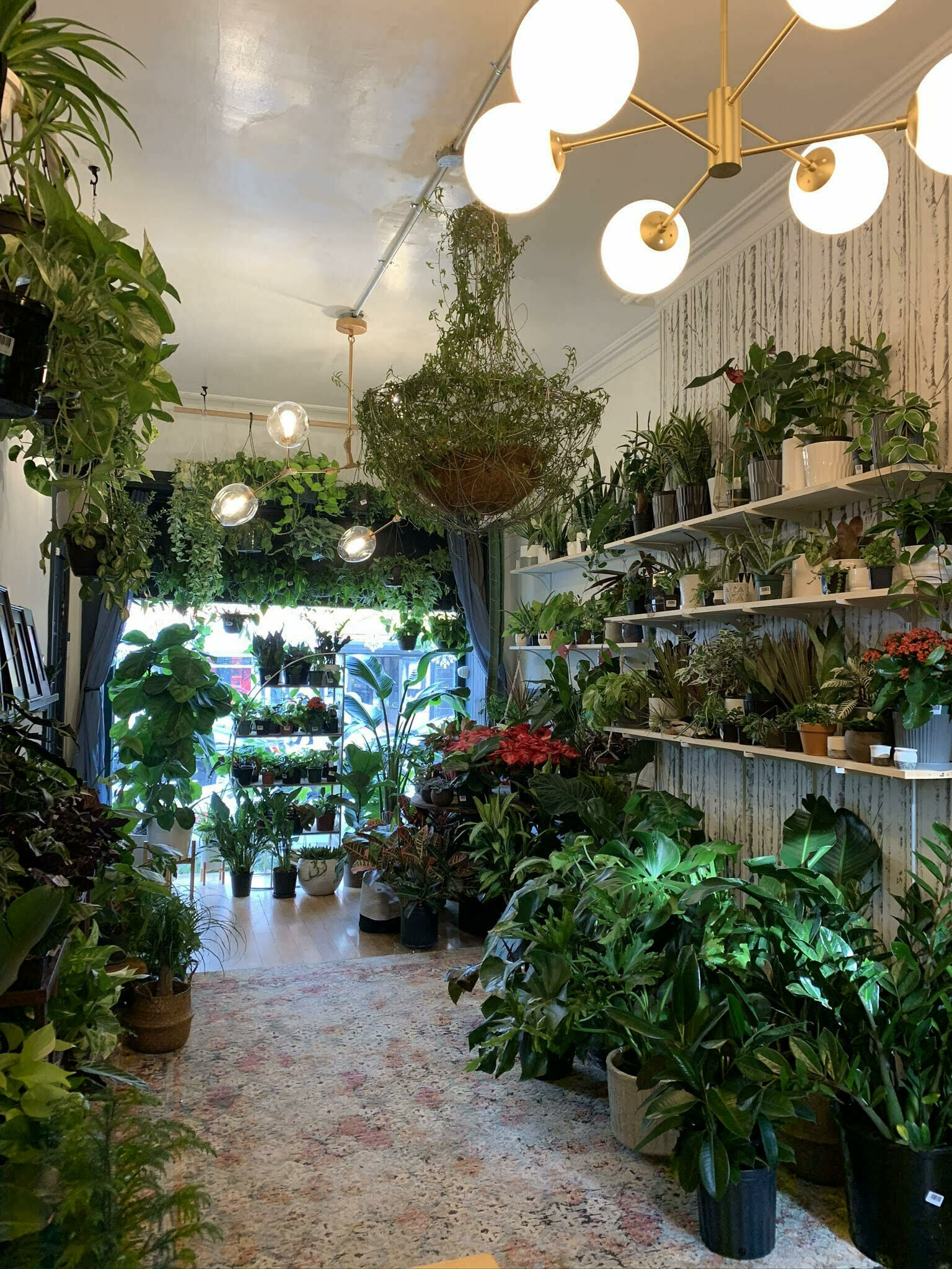 Cultivaire Plant Store