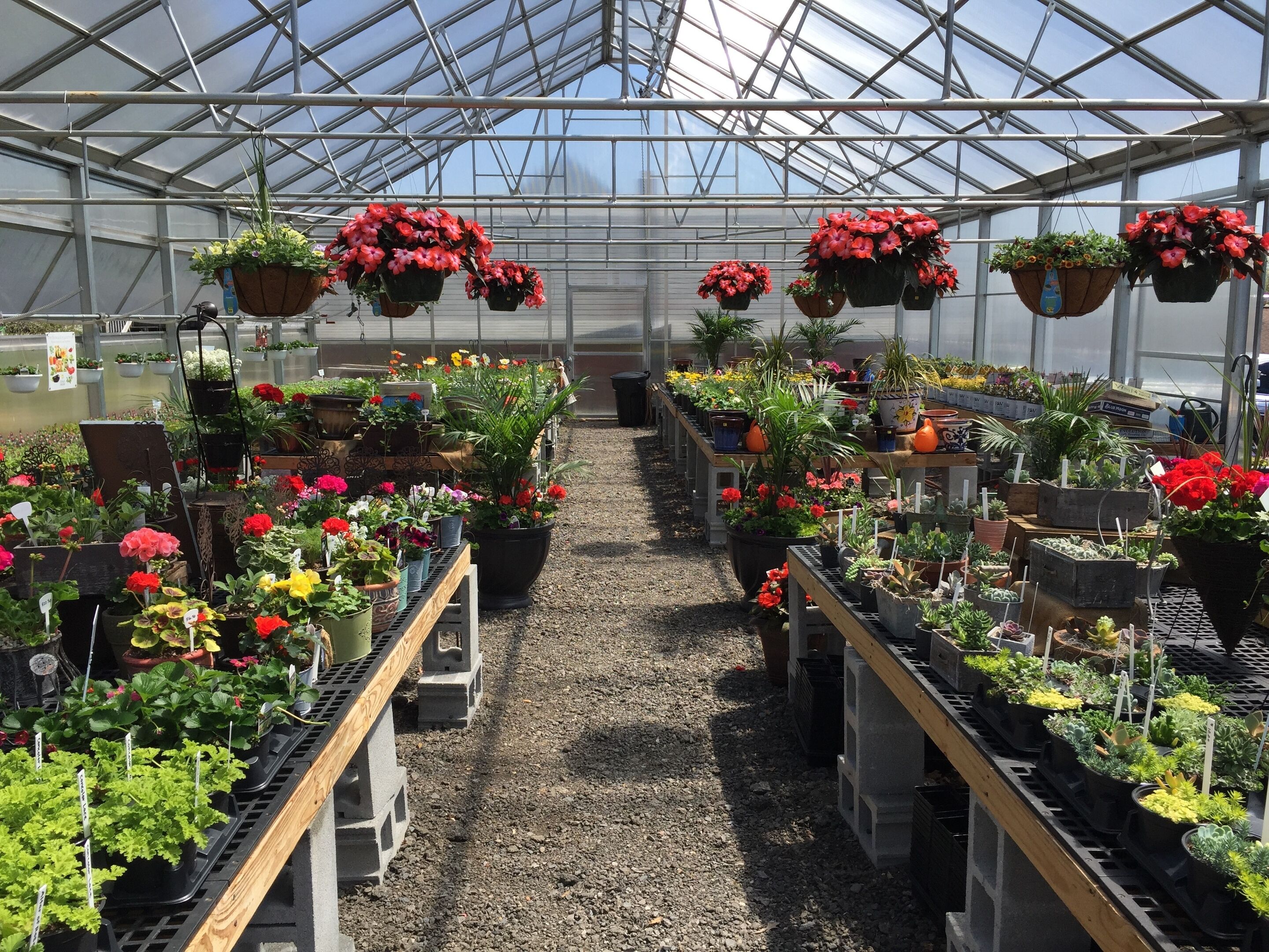 Condon s Nursery condon-s-nursery