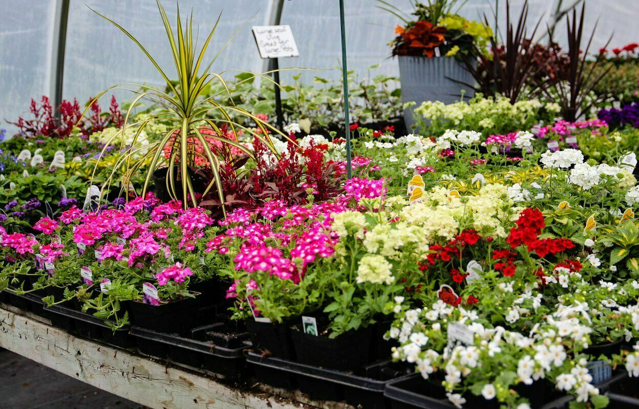 The Garden Path Clarington